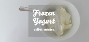 Frozen Yogurt selber machen